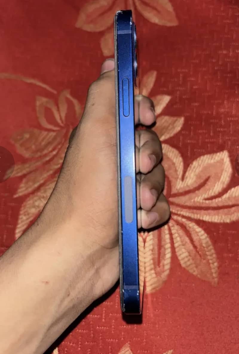Apple iPhone 12 1