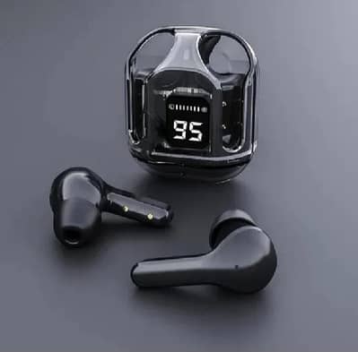 Earphones