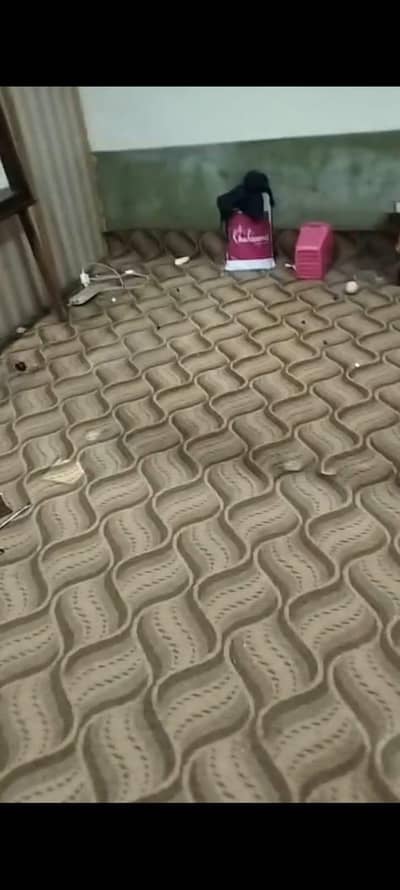 CARPET FOR SALE