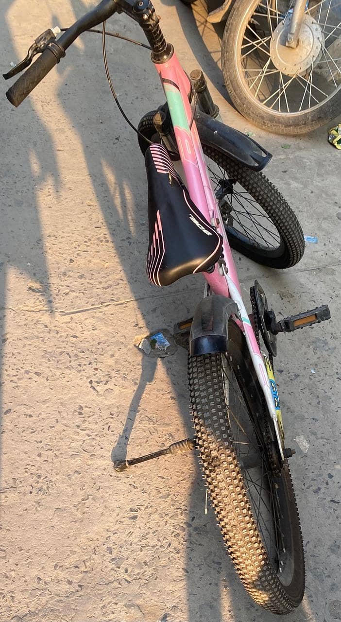 Bdf double shock cycle 4