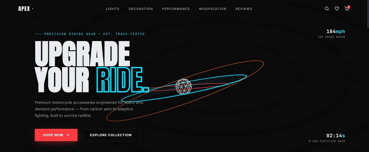 Professional Front-End Website Developer 3