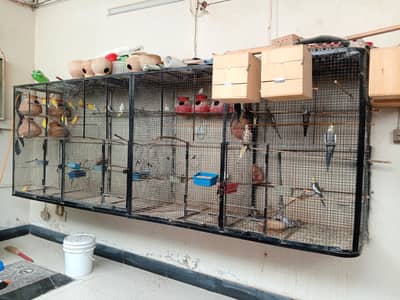 Birds Cages For Sale