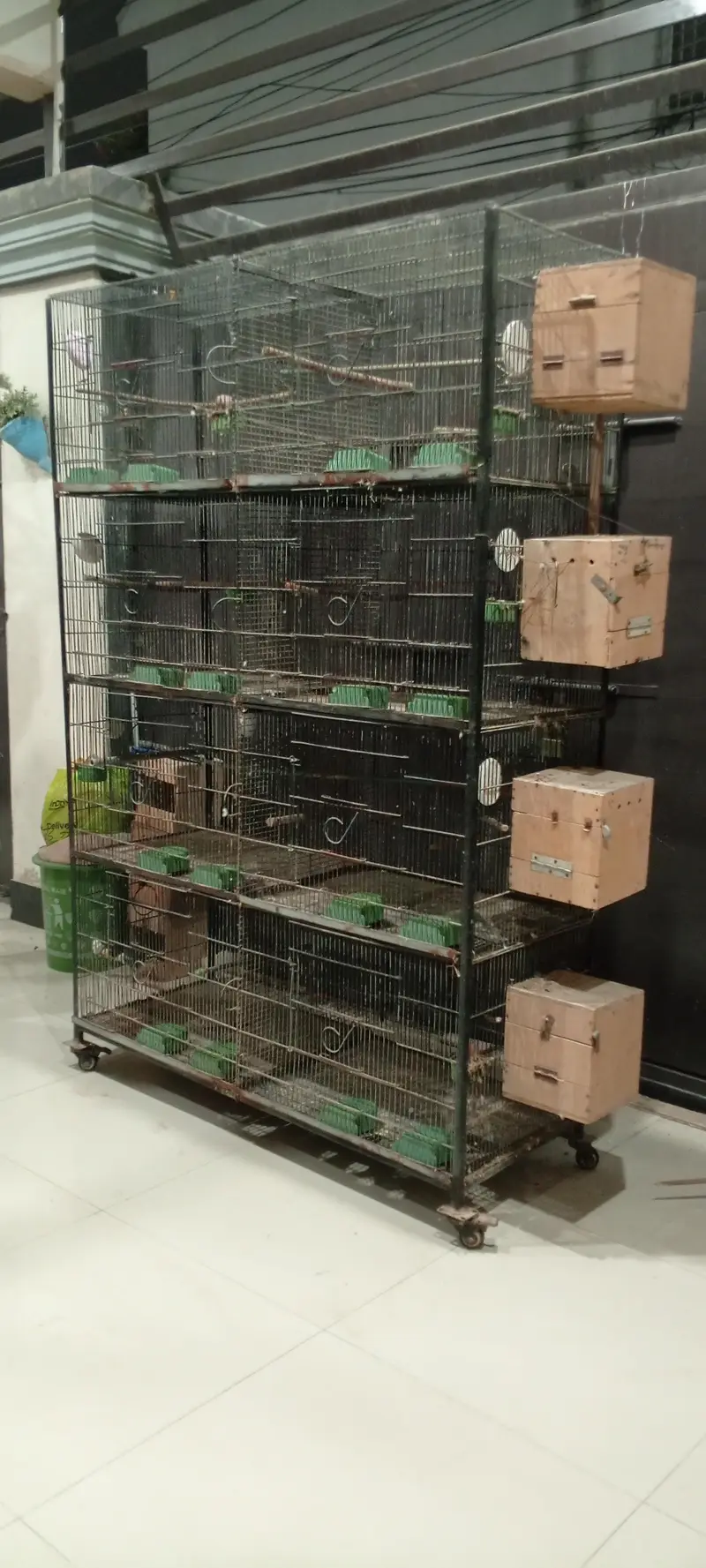 Birds Cages For Sale — photo 2