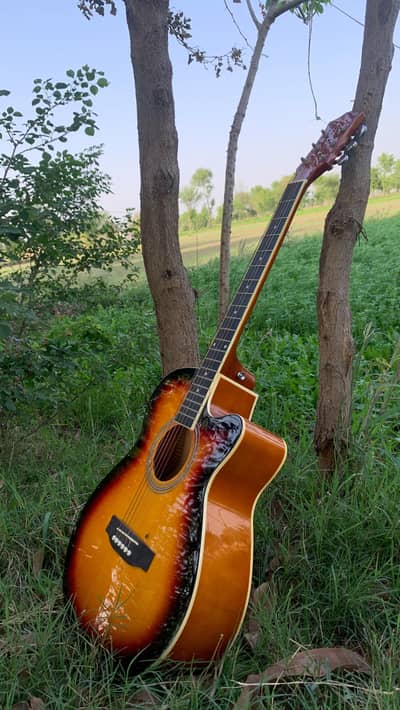 Sniger acoustic guitar