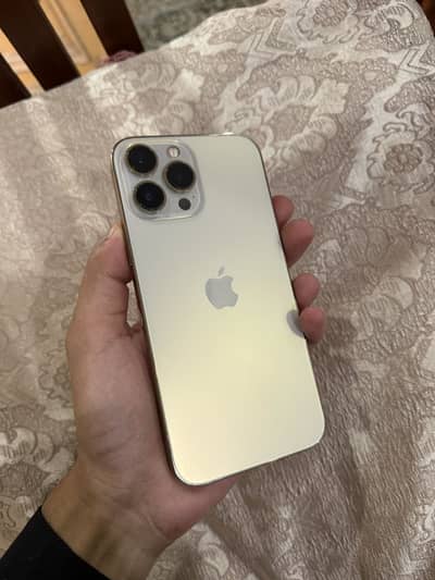 Apple iPhone 13 Pro Max  jv