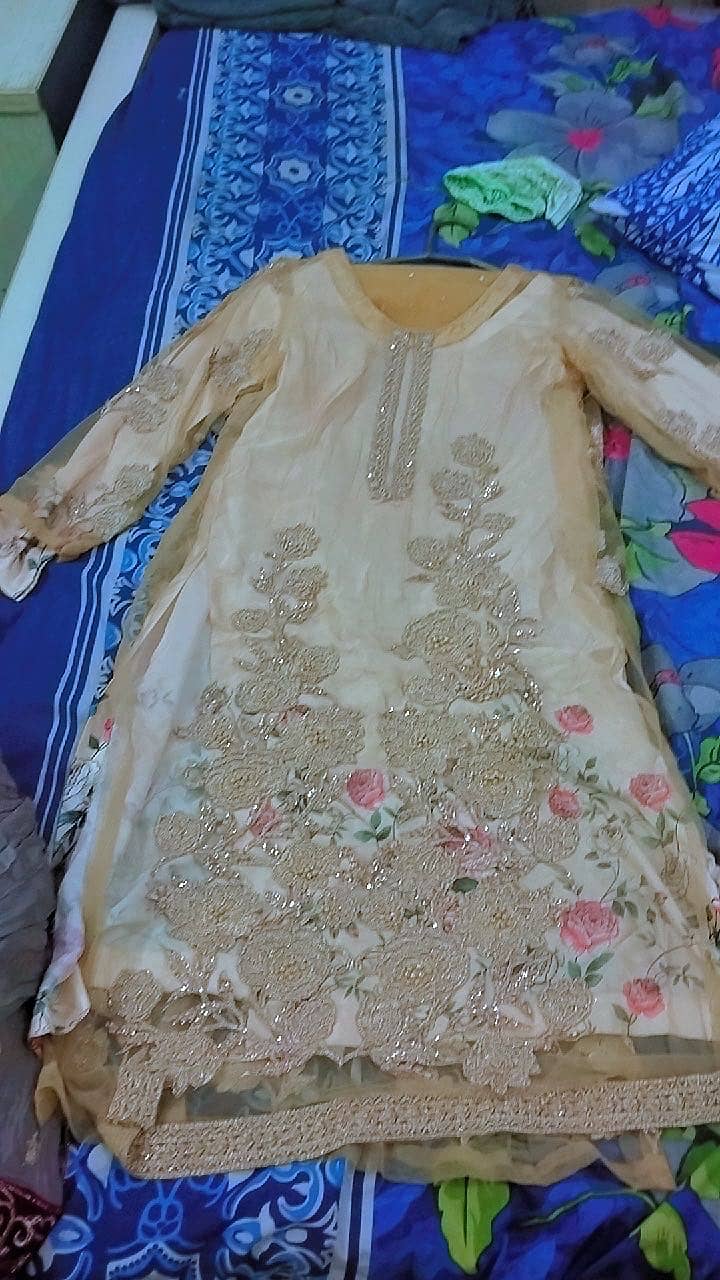 Fancy dresses 1