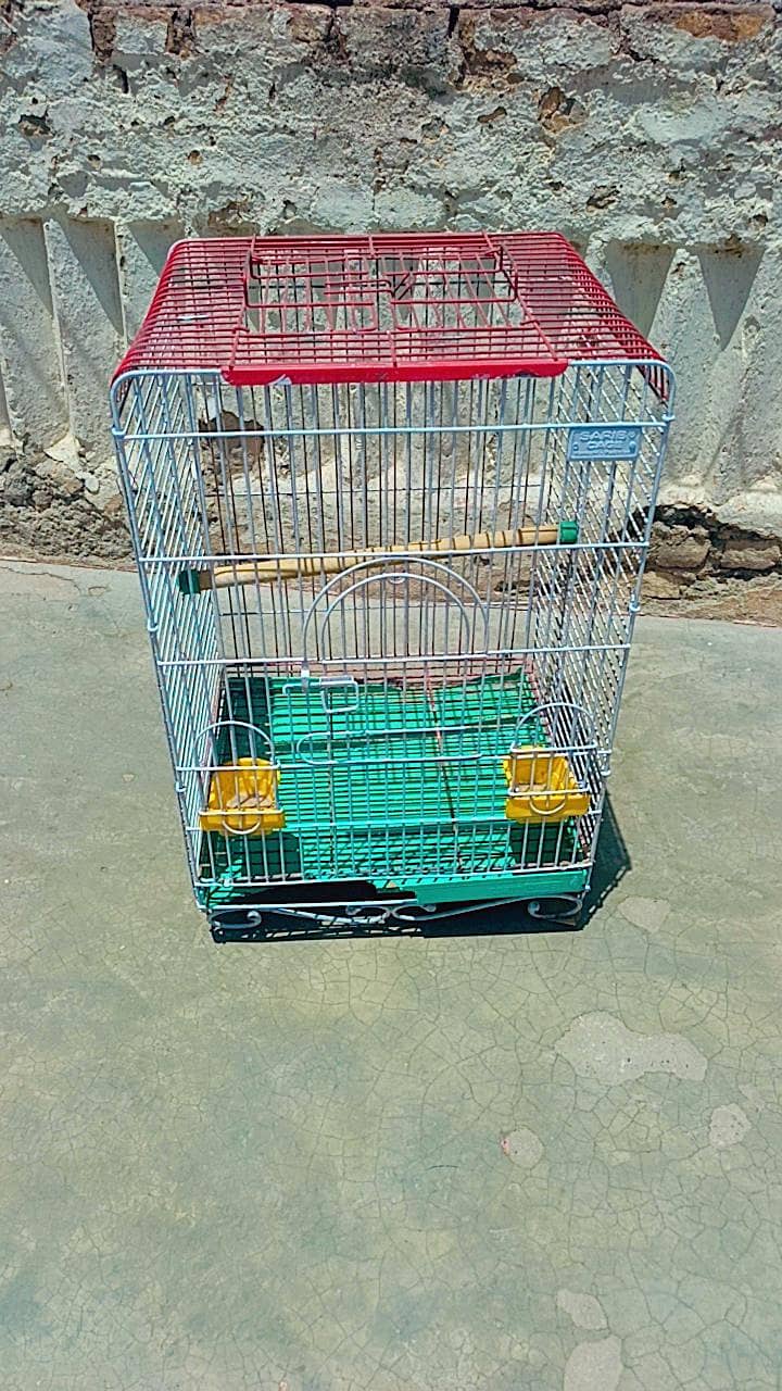 Raw cage 1