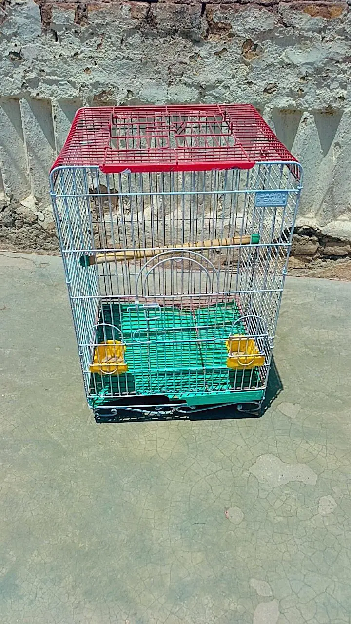 Raw cage — photo 2