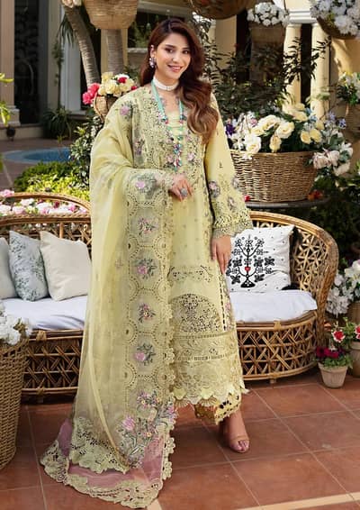 Elaf brand suit