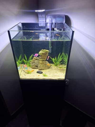 IMPORTED AQUARIUM