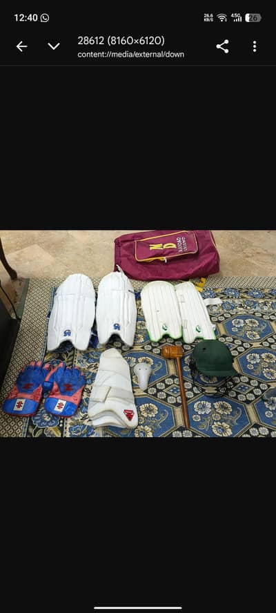 cricket kit (original CA pads, MD helmet and kit bag