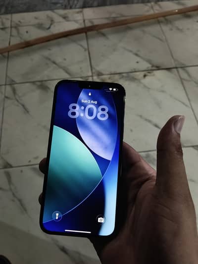 Apple iPhone 13 Pro Max