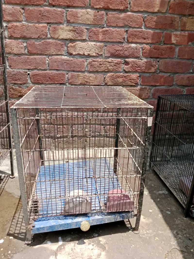 Cage iren — photo 2