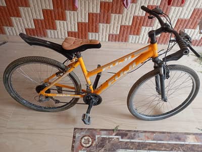 Fuji Japanese Road Bike