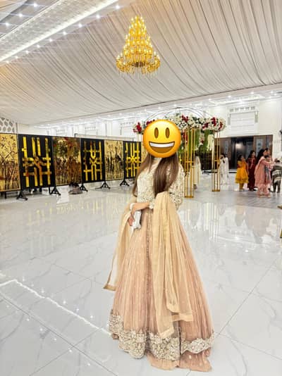 Wedding Wear Fancy Dress – Worn Once