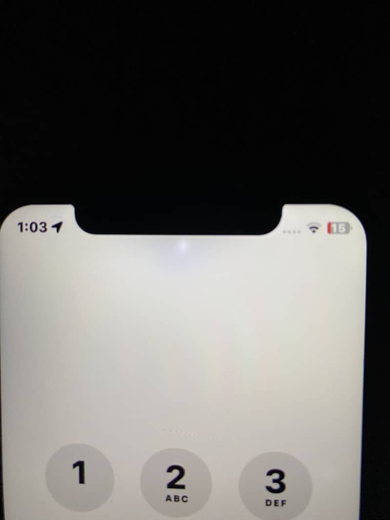 Apple iPhone X 5