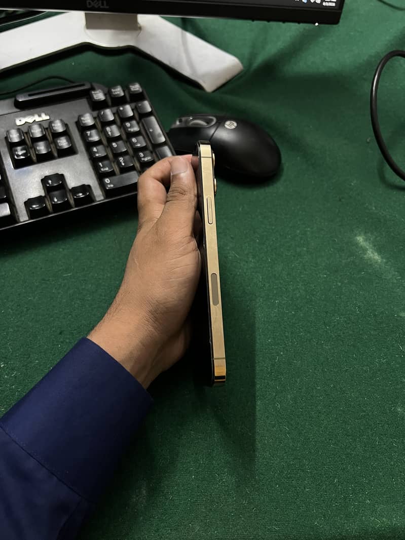 Iphone 13 pro max 1