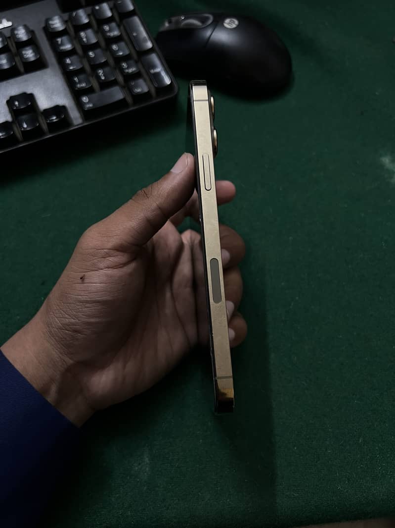 Iphone 13 pro max 4