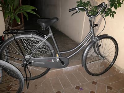 Dubai import cycle