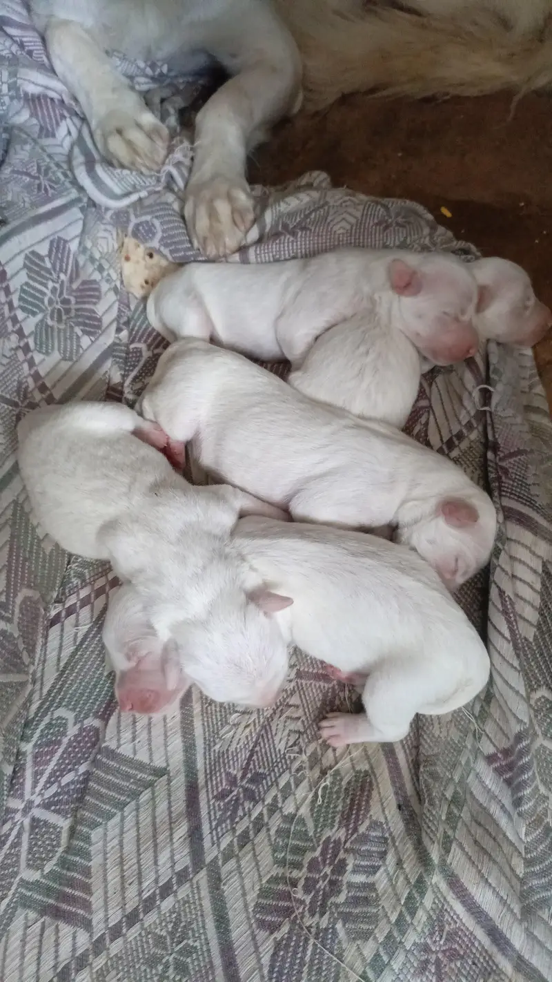 my cute pipes — photo 2