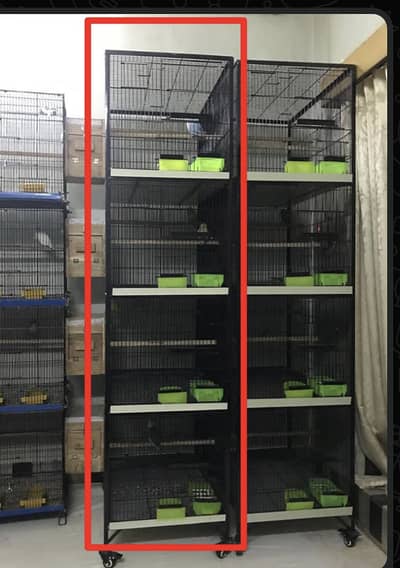 Cages for lovebirds parrots Raw