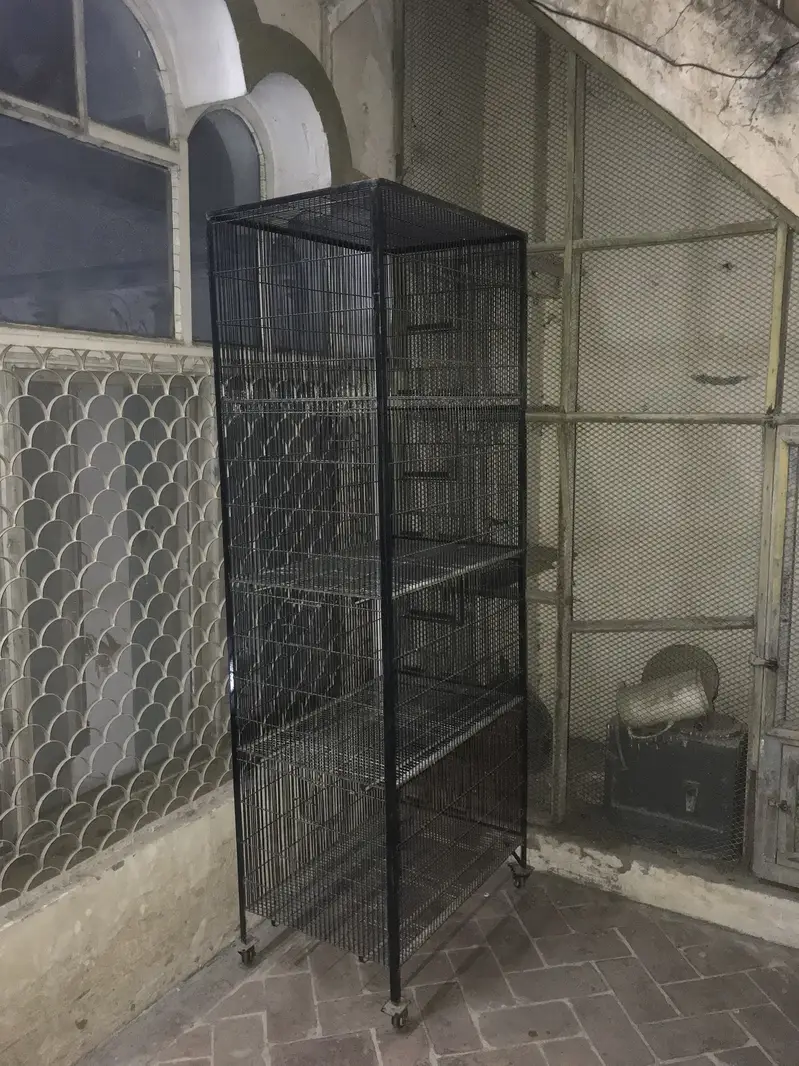 Cages for lovebirds parrots Raw — photo 2