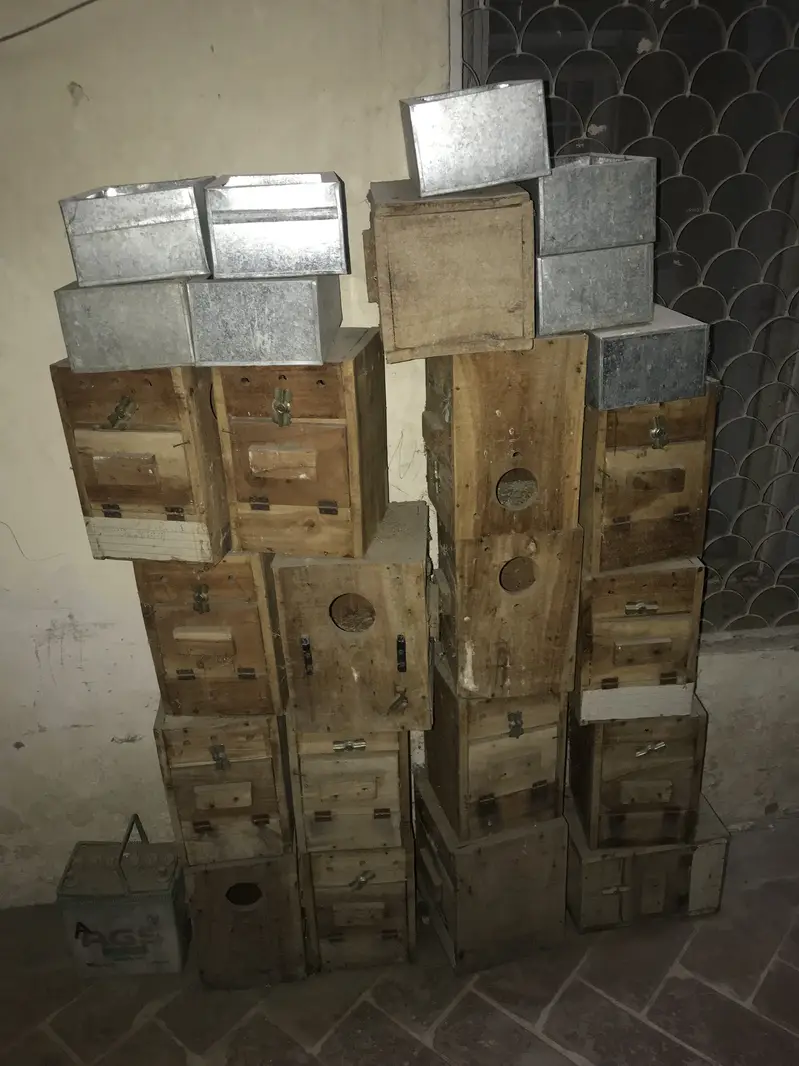 Cages for lovebirds parrots Raw — photo 4