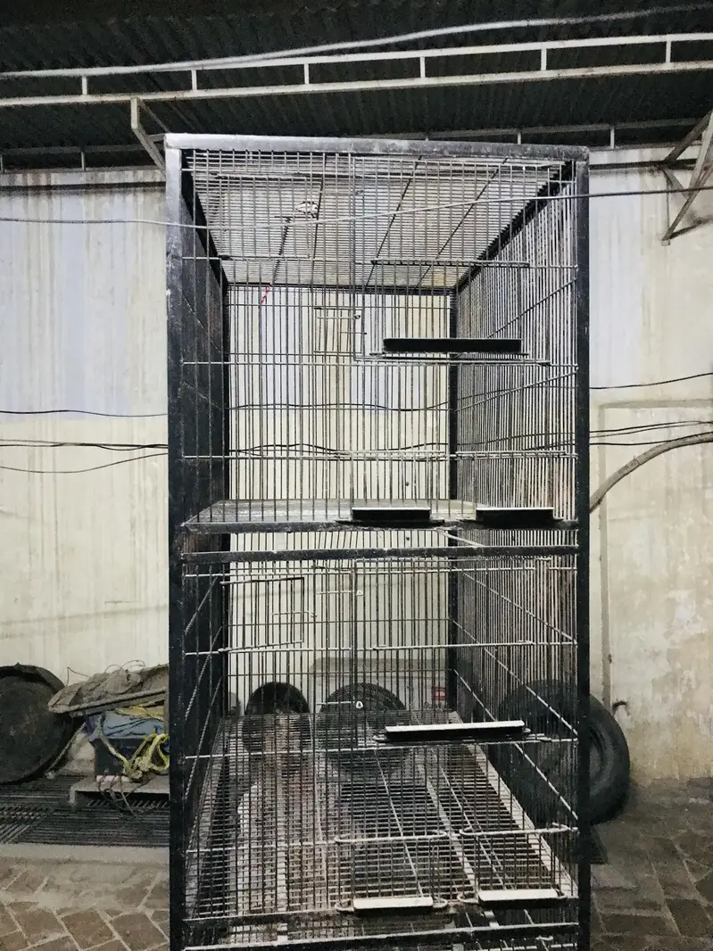 Cages for lovebirds parrots Raw — photo 8