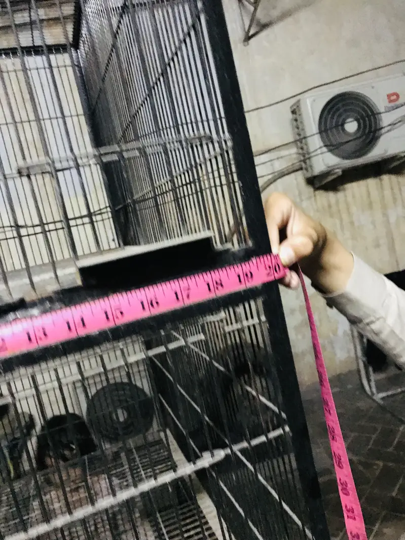 Cages for lovebirds parrots Raw — photo 9
