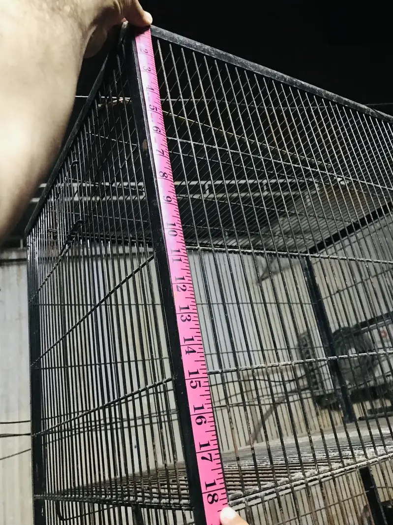 Cages for lovebirds parrots Raw — photo 11