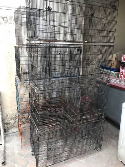 Cages for lovebirds parrots Raw