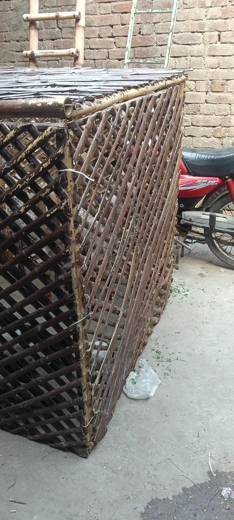 bachon k leye pinjra — photo 3