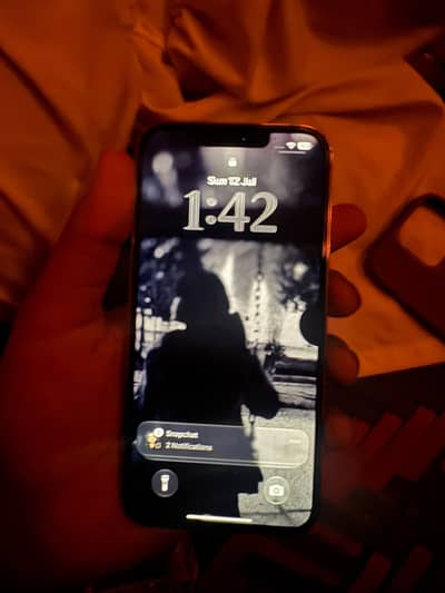 Apple iPhone 13 Pro