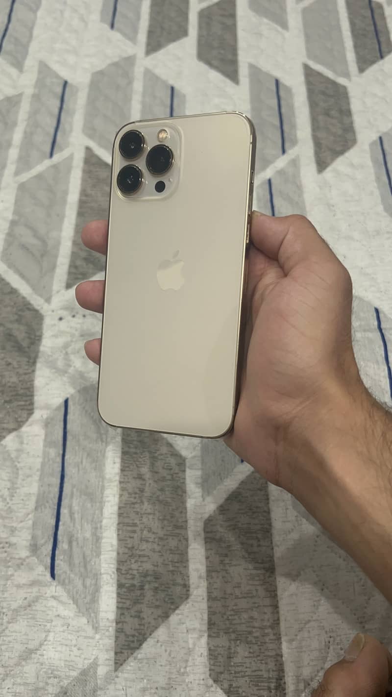 Apple iPhone 13 pro max 1