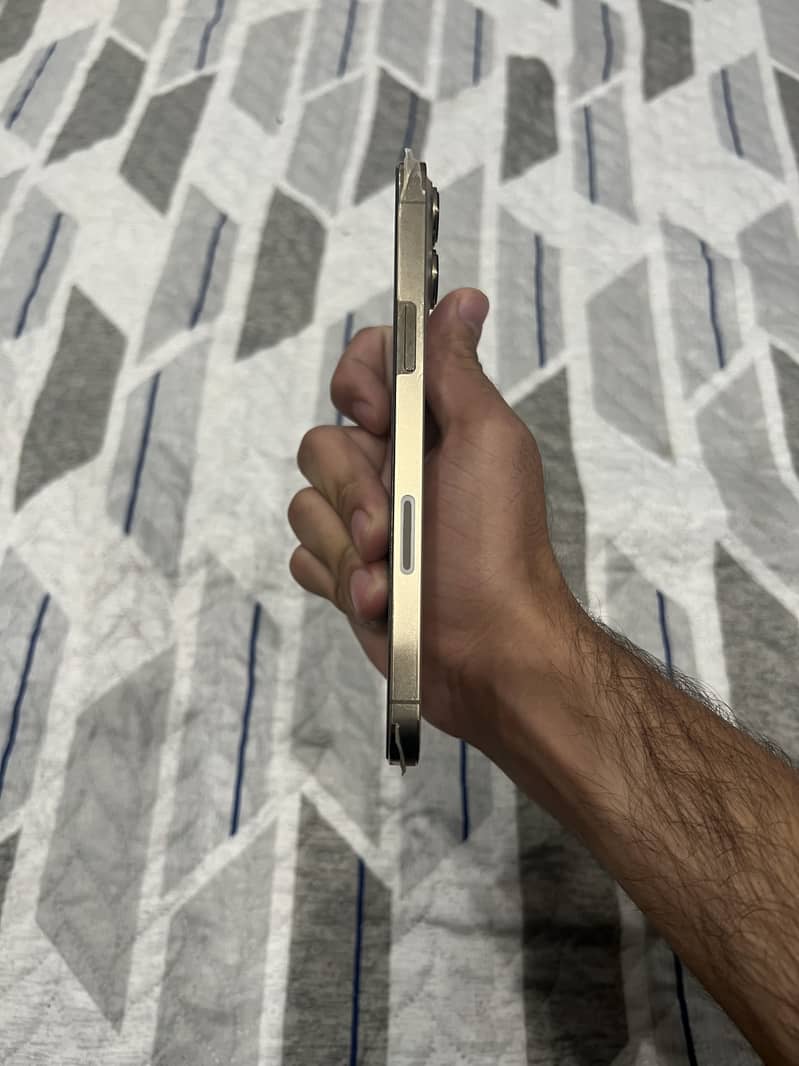 Apple iPhone 13 pro max 2