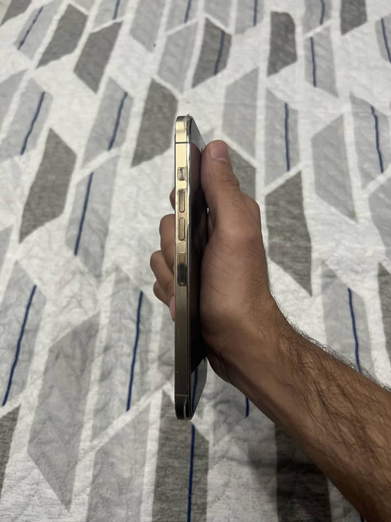 Apple iPhone 13 pro max 3