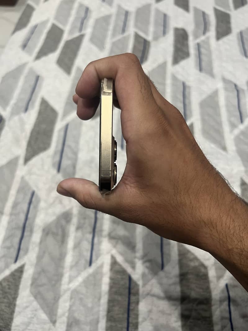 Apple iPhone 13 pro max 4