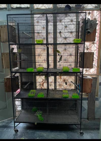 cages for lovebirds perrots Raw
