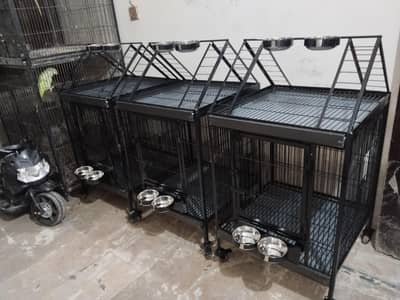 Brand New Cage for Tamed and breeding Only Call  0321.7242445