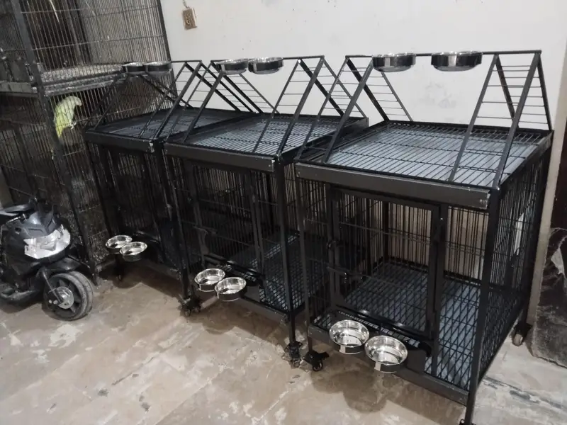 Brand New Cage for Tamed and breeding Only Call  0321.7242445 — photo 2