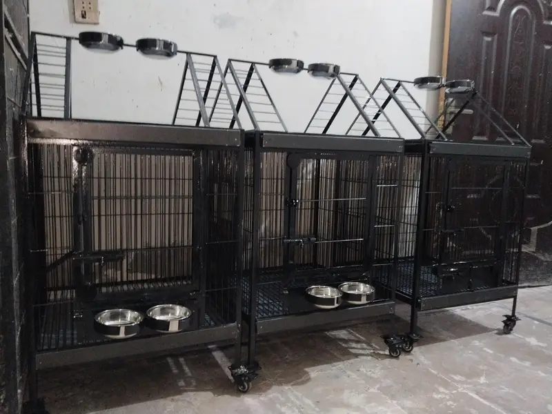 Brand New Cage for Tamed and breeding Only Call  0321.7242445 — photo 4