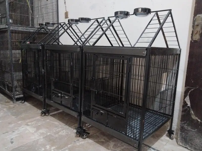 Brand New Cage for Tamed and breeding Only Call  0321.7242445 — photo 6