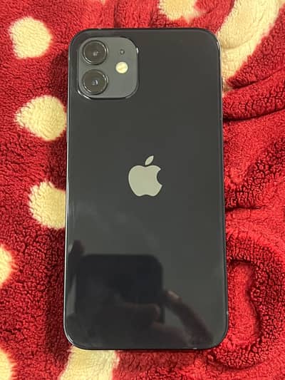 iPhone 12