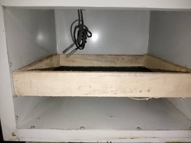 Egg Incubator 2