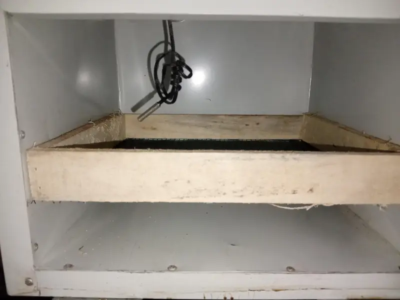 Egg Incubator — photo 3