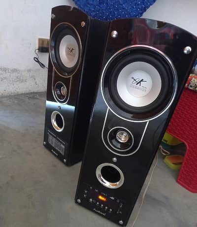 Audionic speaker