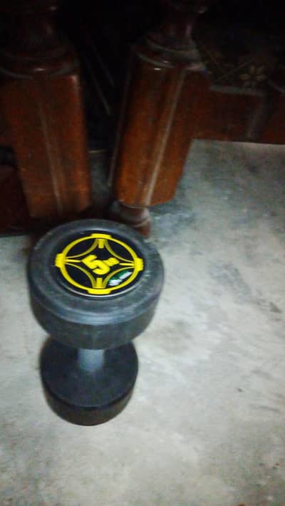 5kg Dumbbells
