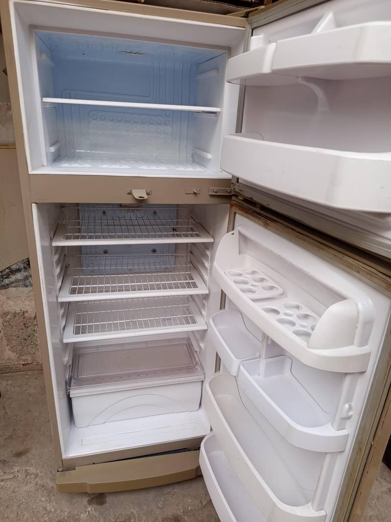 waves fridge 2