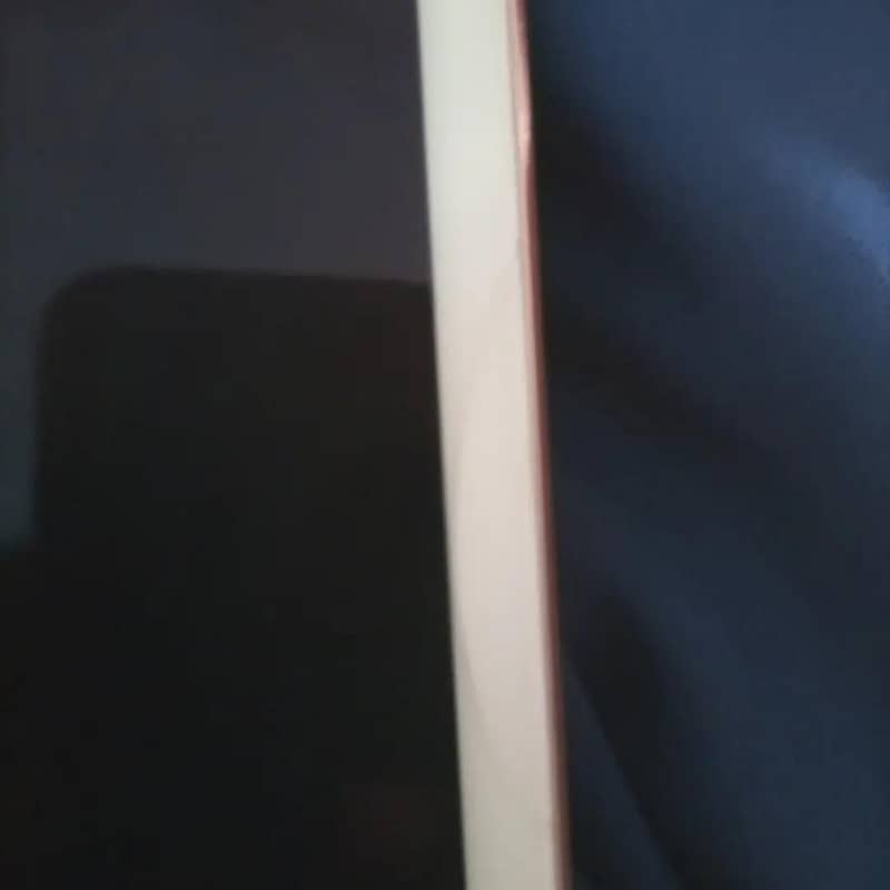 Ipad mini 5 / 64GB 3