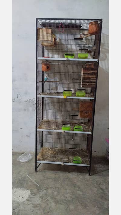 parrot cage